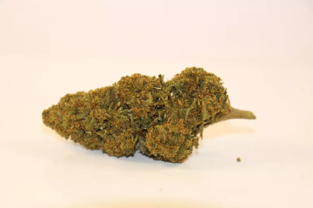 Orange bud 10% cbd 0.28%thc